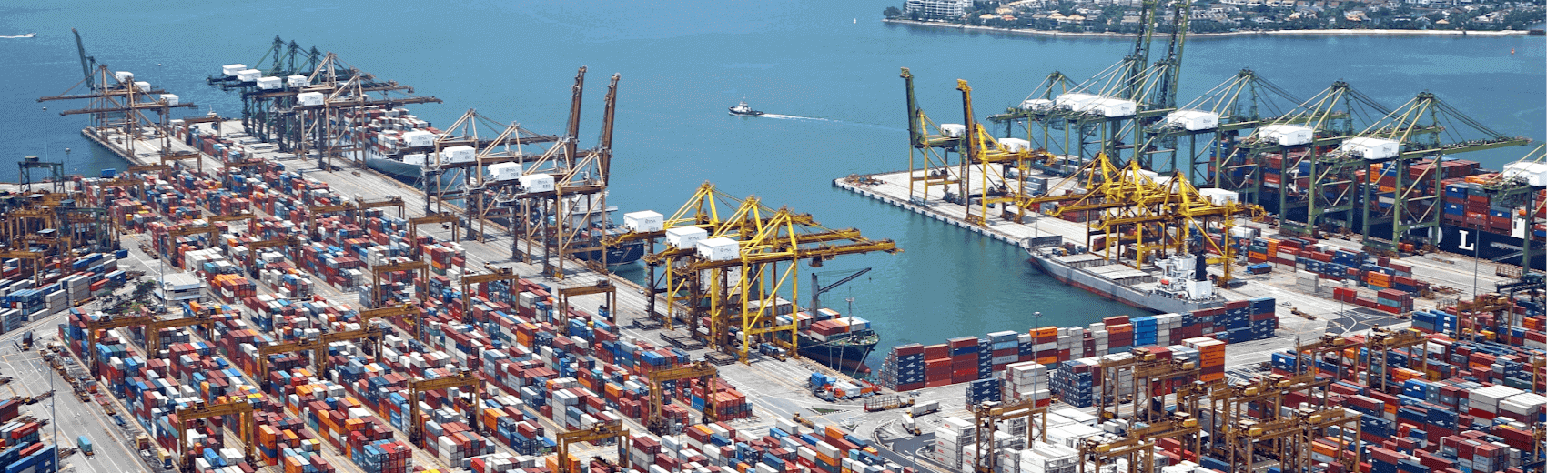 Curso Indústria Longshoring OSHA 2232