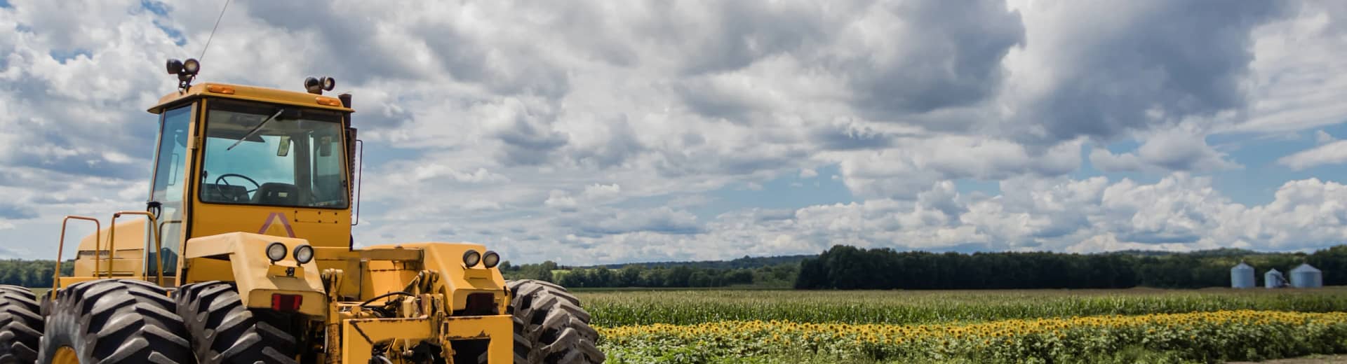 O objetivo do Curso Capacitação Segurança na Operação de Máquinas Autopropelidas e Implementos NR 31 e NR 12 tem por objetivo estabelecer os preceitos a serem observados na organização e no ambiente de trabalho rural, de forma a tornar compatível o planejamento e o desenvolvimento das atividades do setor com a prevenção de acidentes e doenças relacionadas ao trabalho rural.