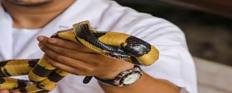 Curso Captura Contenção Animais