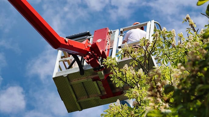 Curso Plataforma Trabalho Aéreo Elevatória PTA NR-18