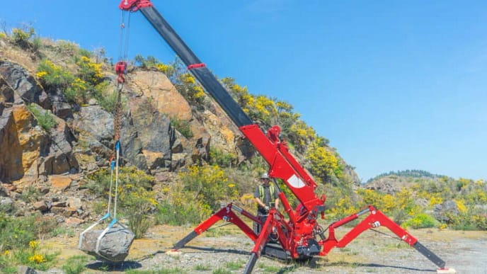 curso de mini grua