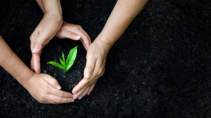 Curso Licenciamento Ambiental